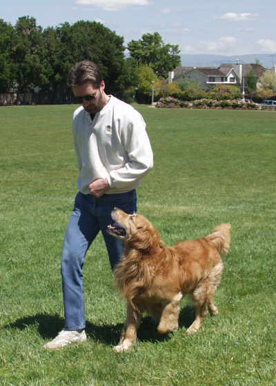 Tiger,  CH Sherwood's Let's Play A Round CD NA NAJ